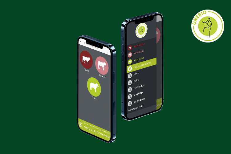 application mobile